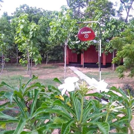 Lavish Eco Jungle Ξενοδοχείο Tissamaharama Εξωτερικό φωτογραφία