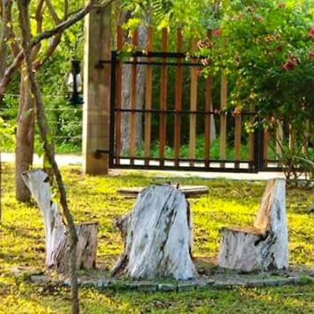Lavish Eco Jungle Ξενοδοχείο Tissamaharama Εξωτερικό φωτογραφία