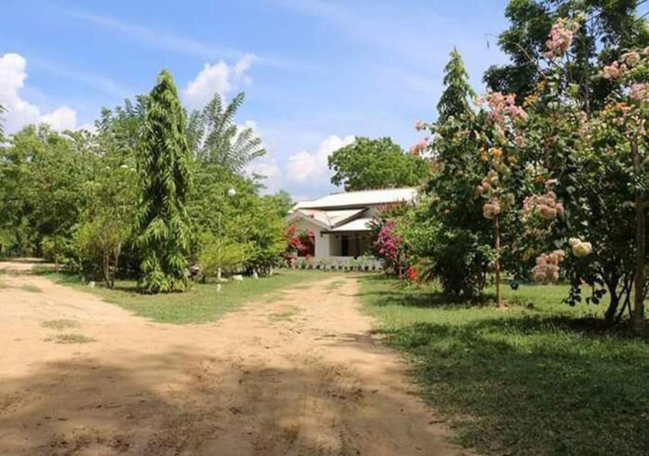 Lavish Eco Jungle Ξενοδοχείο Tissamaharama Εξωτερικό φωτογραφία