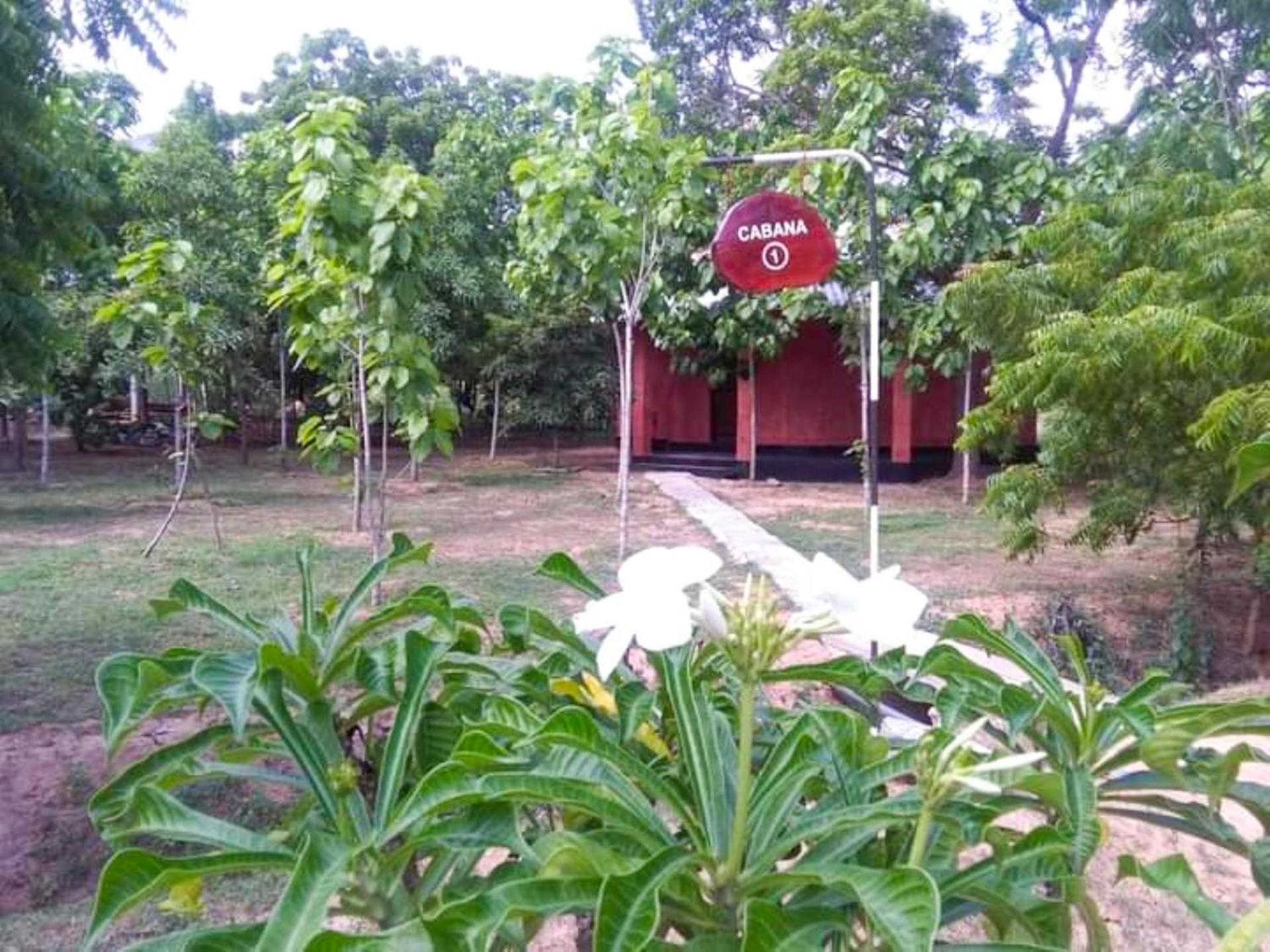 Lavish Eco Jungle Ξενοδοχείο Tissamaharama Εξωτερικό φωτογραφία