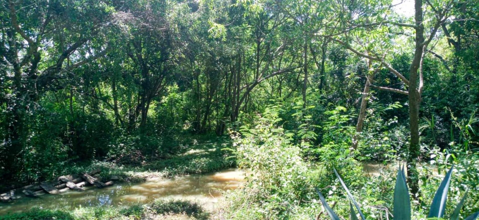 Lavish Eco Jungle Ξενοδοχείο Tissamaharama Εξωτερικό φωτογραφία