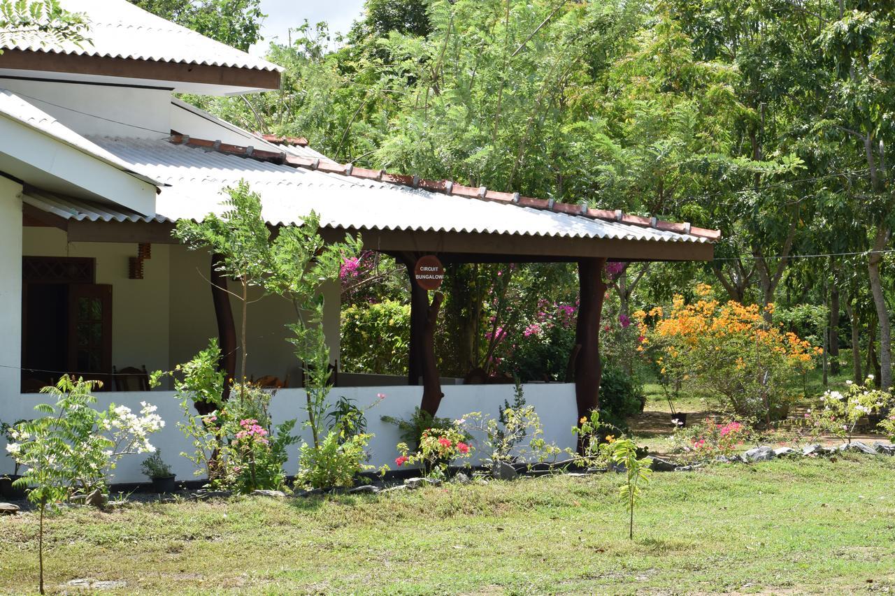 Lavish Eco Jungle Ξενοδοχείο Tissamaharama Εξωτερικό φωτογραφία