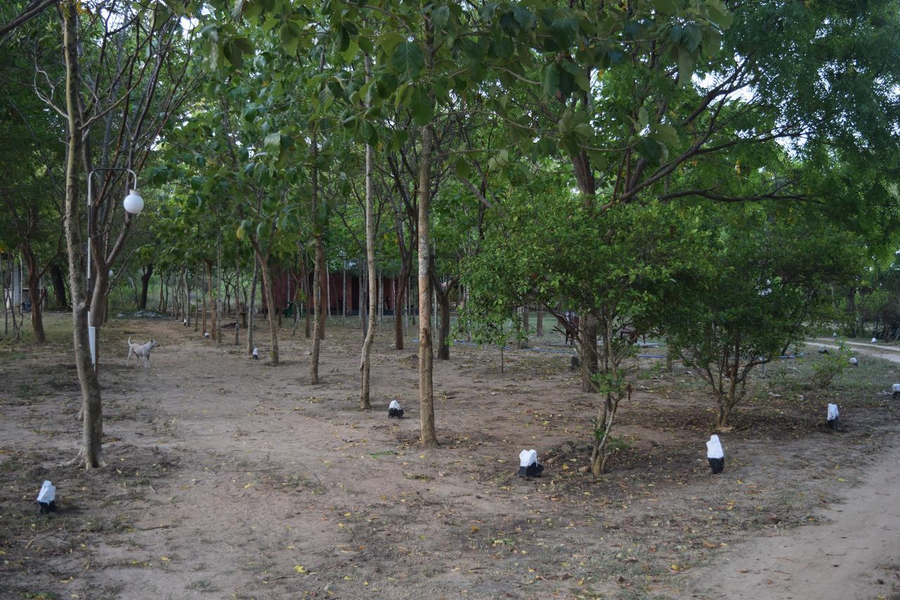 Lavish Eco Jungle Ξενοδοχείο Tissamaharama Εξωτερικό φωτογραφία