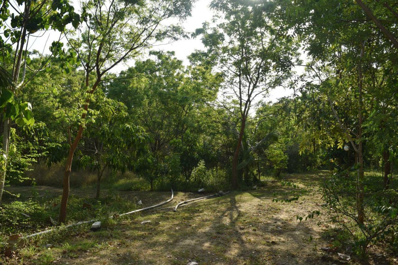Lavish Eco Jungle Ξενοδοχείο Tissamaharama Εξωτερικό φωτογραφία