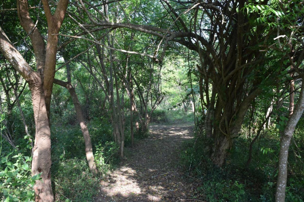 Lavish Eco Jungle Ξενοδοχείο Tissamaharama Εξωτερικό φωτογραφία