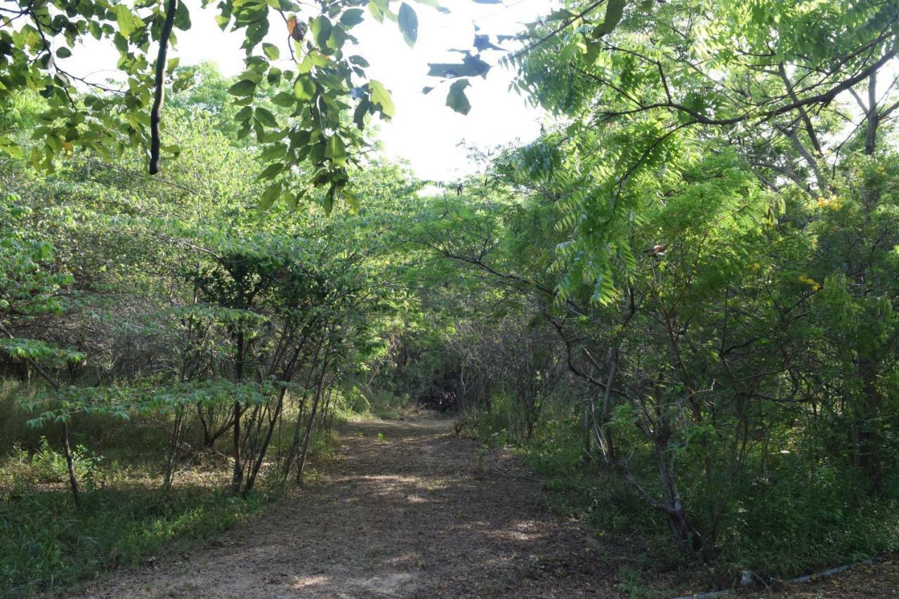 Lavish Eco Jungle Ξενοδοχείο Tissamaharama Εξωτερικό φωτογραφία
