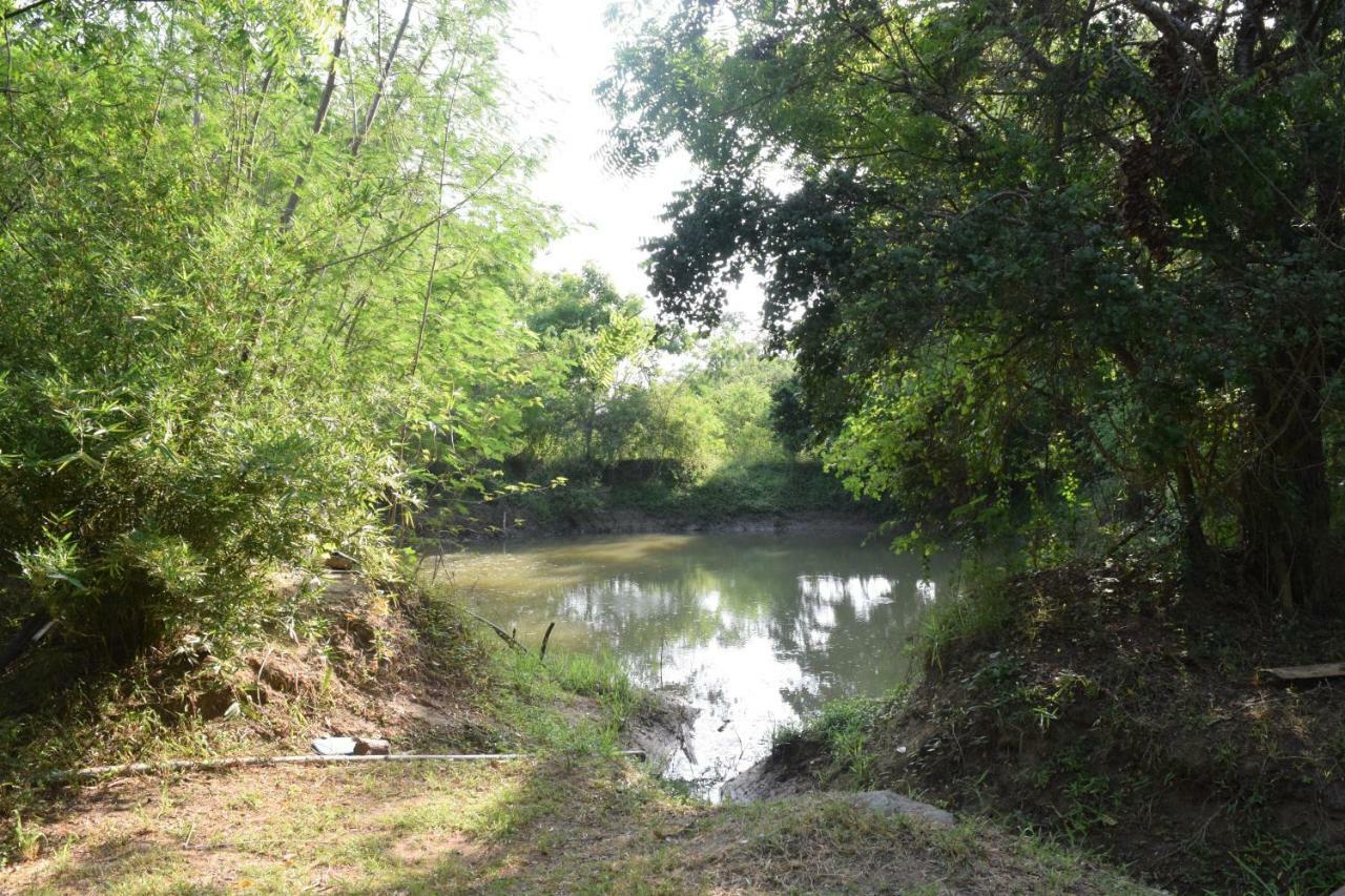 Lavish Eco Jungle Ξενοδοχείο Tissamaharama Εξωτερικό φωτογραφία