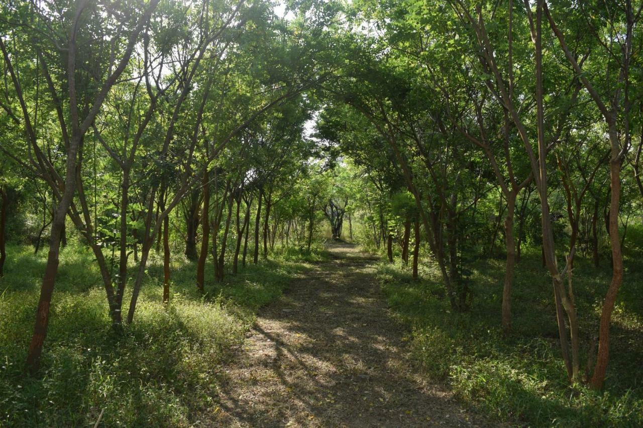 Lavish Eco Jungle Ξενοδοχείο Tissamaharama Εξωτερικό φωτογραφία