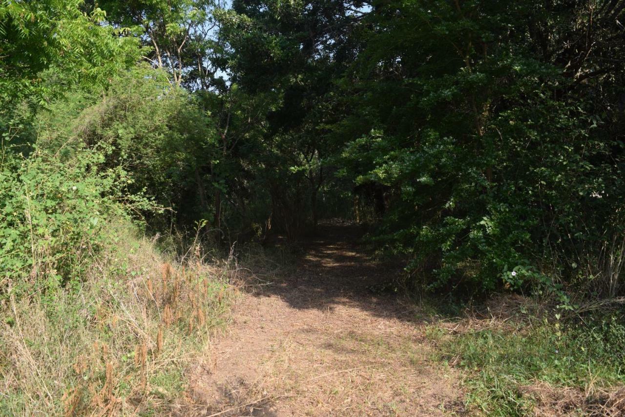 Lavish Eco Jungle Ξενοδοχείο Tissamaharama Εξωτερικό φωτογραφία